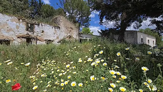 Ländliches Grundstück mit 20.000 m² in Setenil de las Bodegas · 5/16