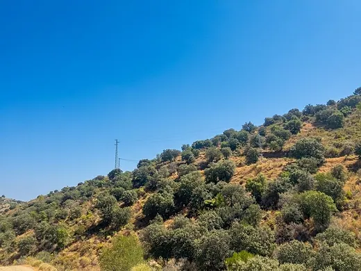 Ländliches Grundstück mit 8.089 m² in Monda · 5/7