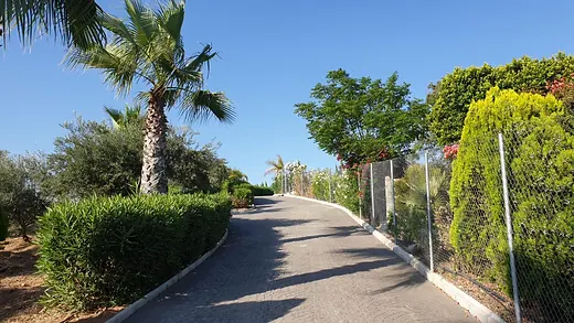 Finca exclusiva con 48.000 m², olivar y vivienda de diseño en Coín · 5/26