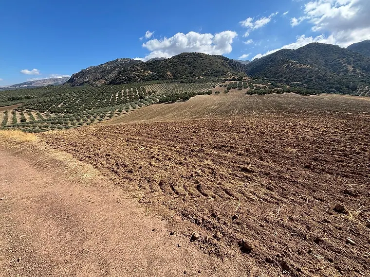 Ländliches Grundstück mit 256.011 m² in Zona Cueva de Menga, Antequera