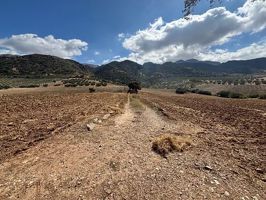 Ländliches Grundstück mit 256.011 m² in Zona Cueva de Menga, Antequera · 4/25